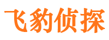 新野私人调查